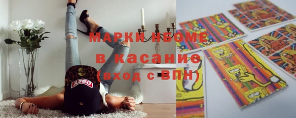 ECSTASY Бородино