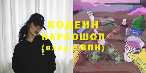 ECSTASY Бородино