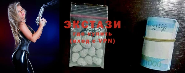 ECSTASY Бородино